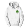 Youth Fan Favorite Fleece Pullover Hooded Sweatshirt Thumbnail