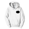 Youth Fan Favorite Fleece Pullover Hooded Sweatshirt Thumbnail